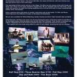 BassOasis Sportfishing single fold brochure - Inside